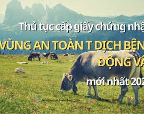 Thủ tục cấp giấy chứng nhận vùng an toàn dịch bệnh động vật mới nhất 2023 Thủ tục cấp giấy chứng nhận vùng an toàn dịch bệnh động vật mới nhất 2023