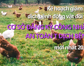 <strong>Kế hoạch giám sát dịch bệnh động vật đối với cơ sở đăng ký công nhận an toàn dịch bệnh mới nhất 2023</strong> <strong>Kế hoạch giám sát dịch bệnh động vật đối với cơ sở đăng ký công nhận an toàn dịch bệnh mới nhất 2023</strong>