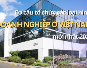 <strong>Cơ cấu tổ chức các loại hình doanh nghiệp ở Việt Nam mới nhất năm 2023</strong> <strong>Cơ cấu tổ chức các loại hình doanh nghiệp ở Việt Nam mới nhất năm 2023</strong>