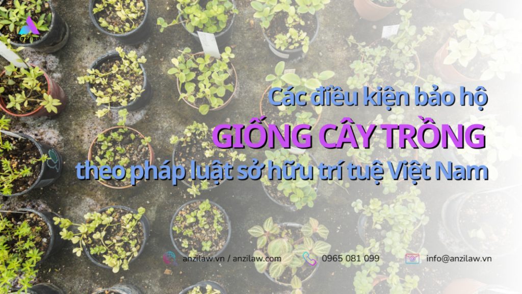 Cac dieu kien bao ho giong cay trong