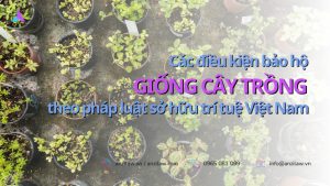 Cac dieu kien bao ho giong cay trong